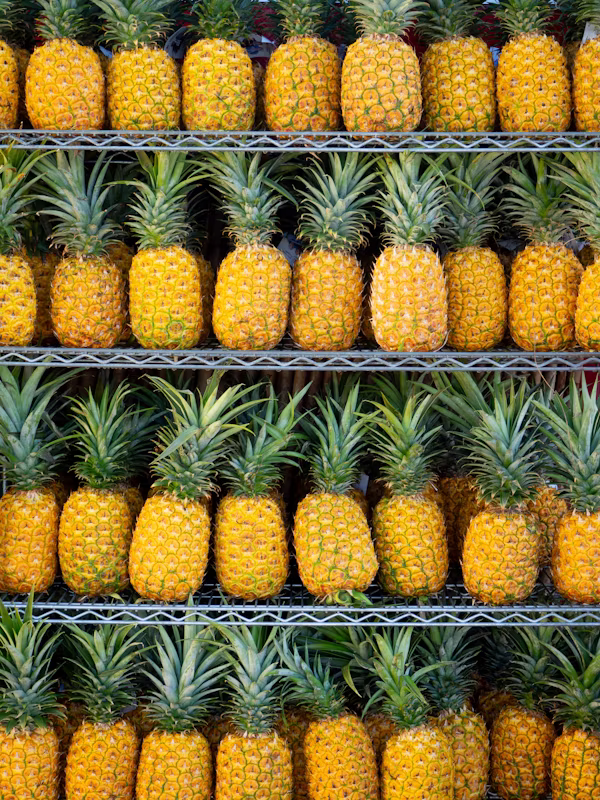 Ananas — filière vitroplants